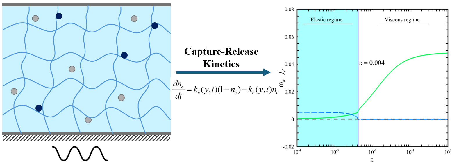 Capture–release kinetics in hydrogels